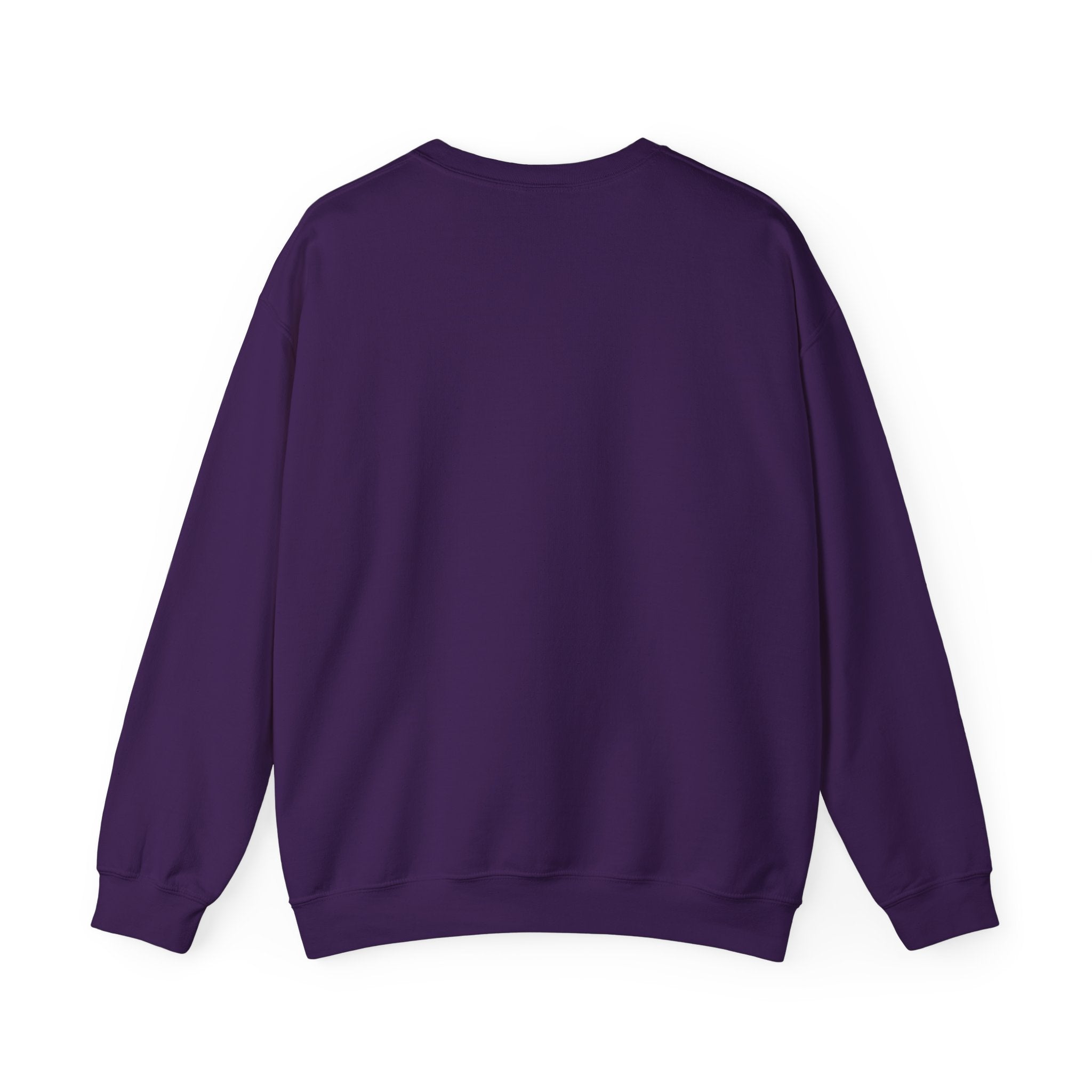 Affirmation Sweatshirt - Year 2025 Manifesting Goals Vibes Peace Destiny