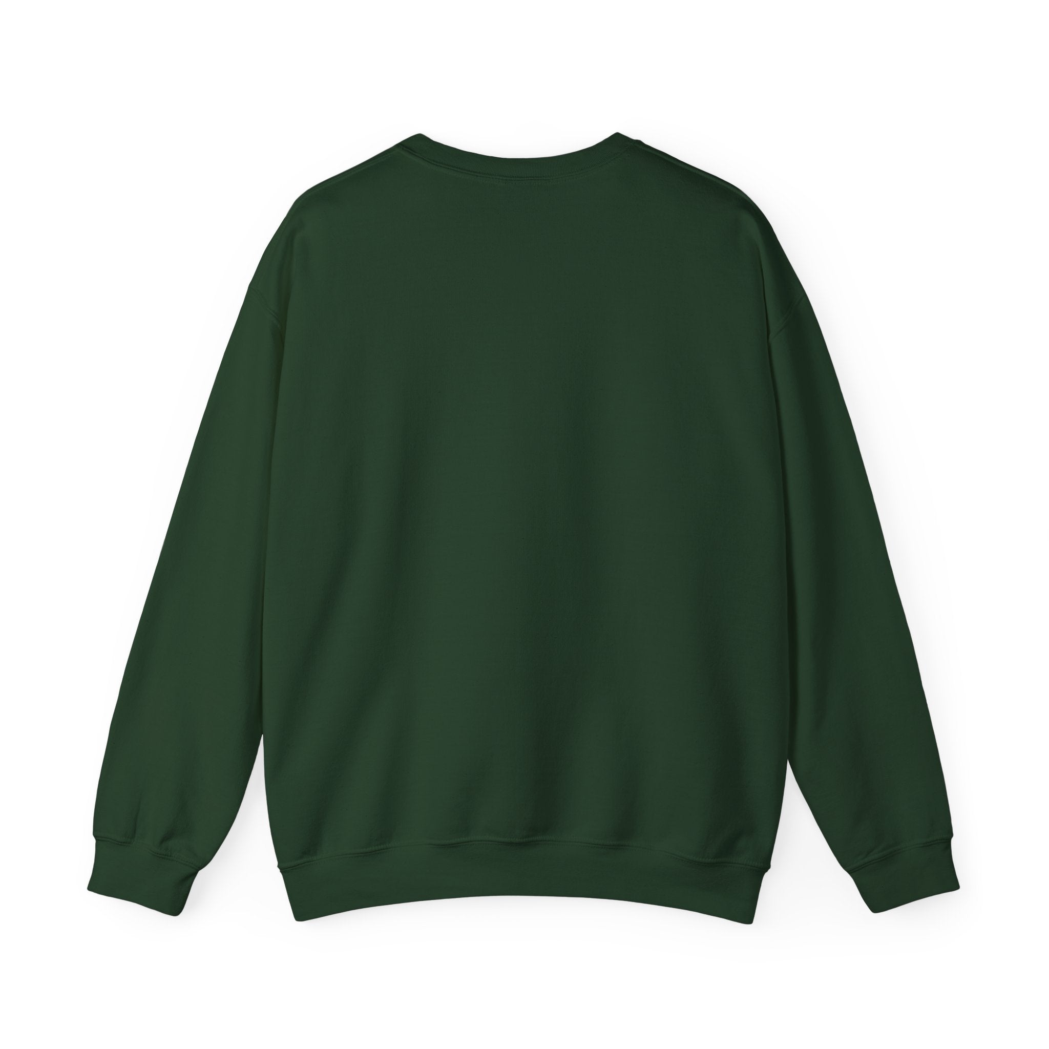 Affirmation Sweatshirt - Year 2025 Manifesting Goals Vibes Peace Destiny