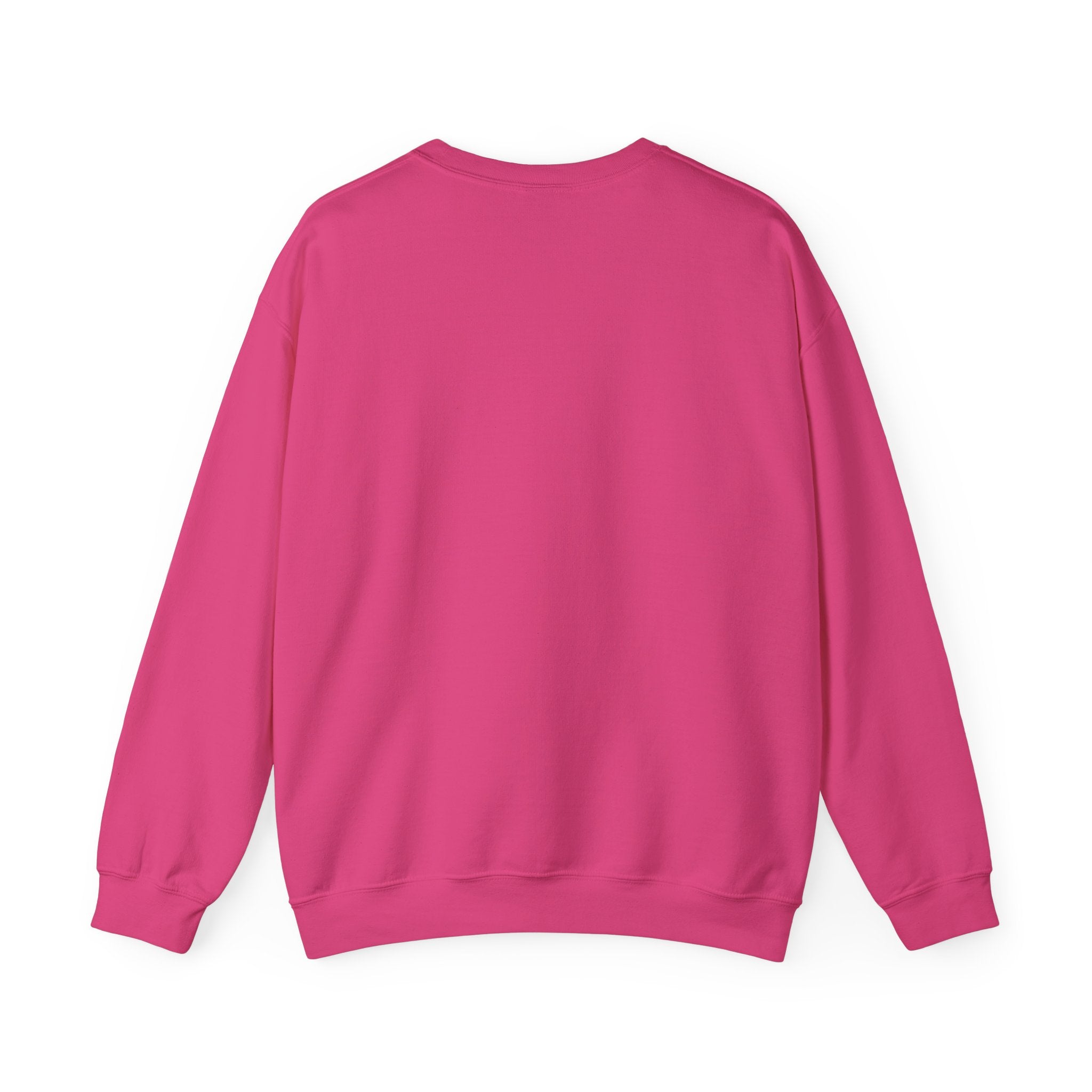 Affirmation Sweatshirt - Year 2025 Manifesting Goals Vibes Peace Destiny